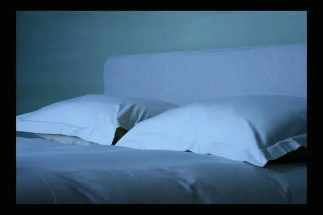 Luxury Tek Büyük Yataklı Oda, 1 Büyük (Queen) Boy Yatak