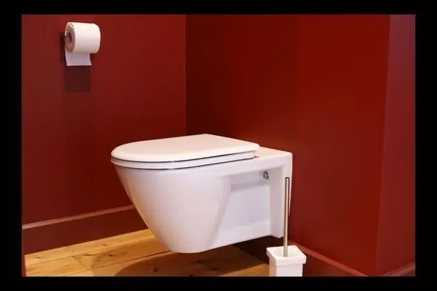 Luxury Tek Büyük Yataklı Oda, 1 Büyük (Queen) Boy Yatak