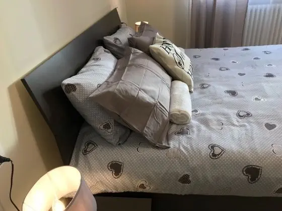 Tek Büyük Yataklı Oda, 1 Yatak Odası, Banyolu/Duşlu