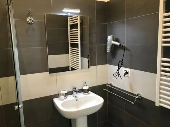 Tek Büyük Yataklı Oda, 1 Yatak Odası, Banyolu/Duşlu