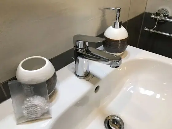 Tek Büyük Yataklı Oda, 1 Yatak Odası, Banyolu/Duşlu