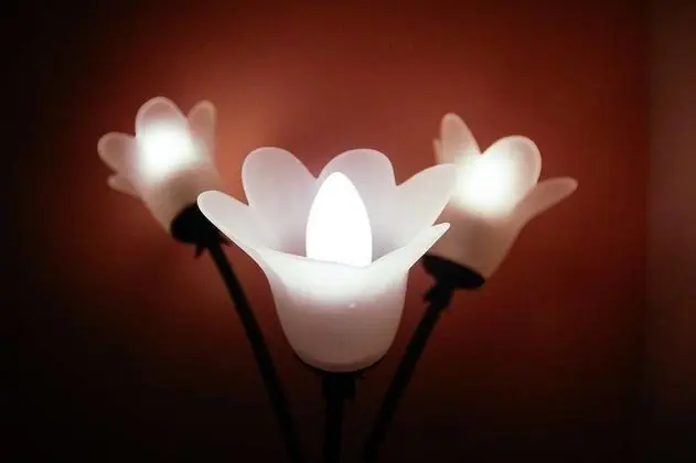 Üç Kişilik Oda, Havuz Manzaralı