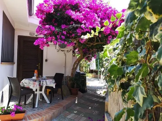 Tek Büyük Yataklı Oda, Banyolu/Duşlu