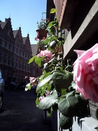 Romantic Süit, 1 Büyük (Queen) Boy Yatak