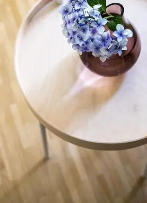 Tek Büyük Yataklı Oda, 1 En Büyük (King) Boy Yatak, Engellilere Uygun, Zemin Kat (Haven)