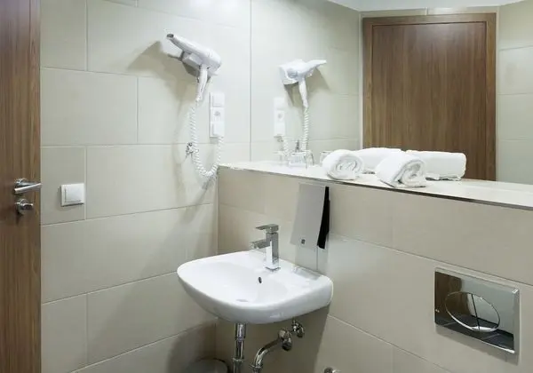 Standard Tek Büyük Yataklı Oda (Plus)