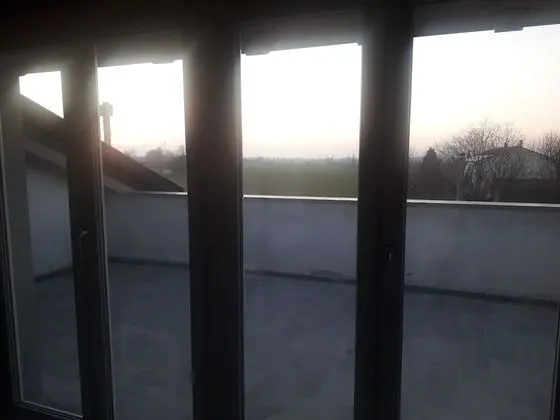 Süit