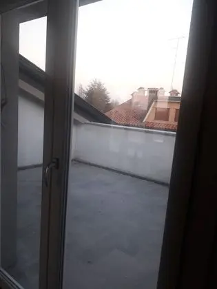 Süit