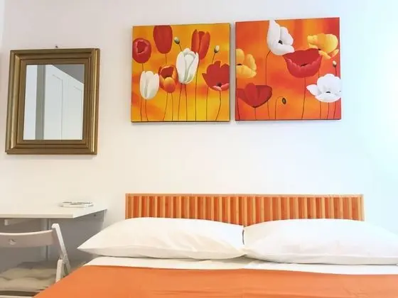 Standard Büyük Yataklı Tek Kişilik Oda, 1 Yatak Odası