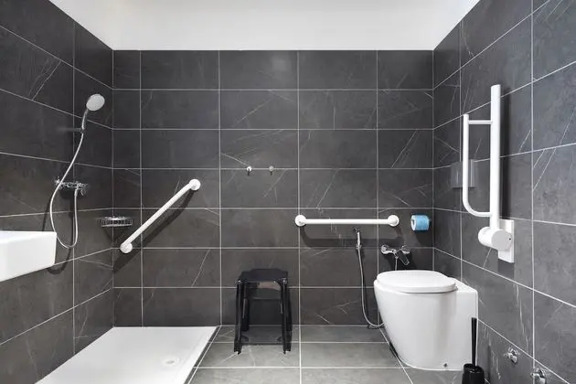 Standard Tek Büyük Yataklı Oda, Engellilere Uygun, Sigara İçilmez