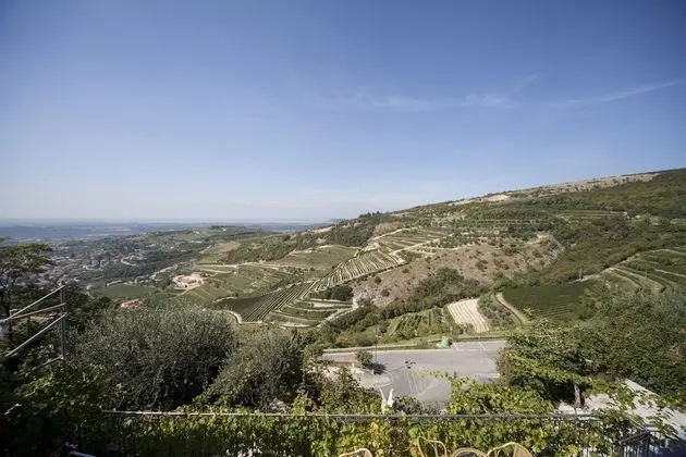 Apart Daire, 2 Yatak Odası, Üzüm Asması Manzaralı