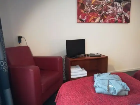 Deluxe Tek Büyük veya İki Ayrı Yataklı Oda (de Blauwe Kamer)