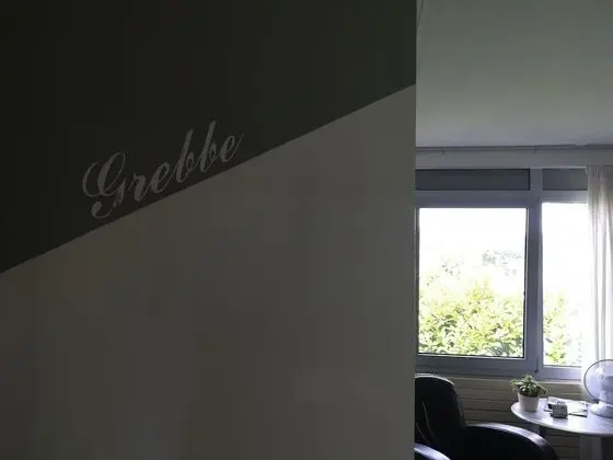 Deluxe Tek Büyük veya İki Ayrı Yataklı Oda, Ortak Banyo (Grebbe)