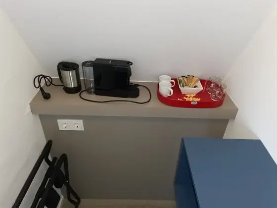 Deluxe Tek Büyük veya İki Ayrı Yataklı Oda, Ortak Banyo (Grebbe)