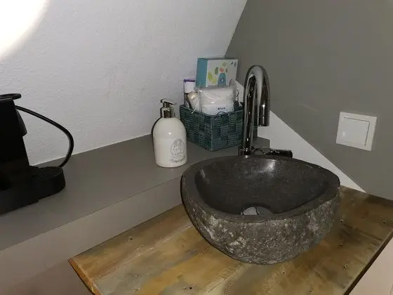 Deluxe Tek Büyük veya İki Ayrı Yataklı Oda, Ortak Banyo (Kwintelooijen)