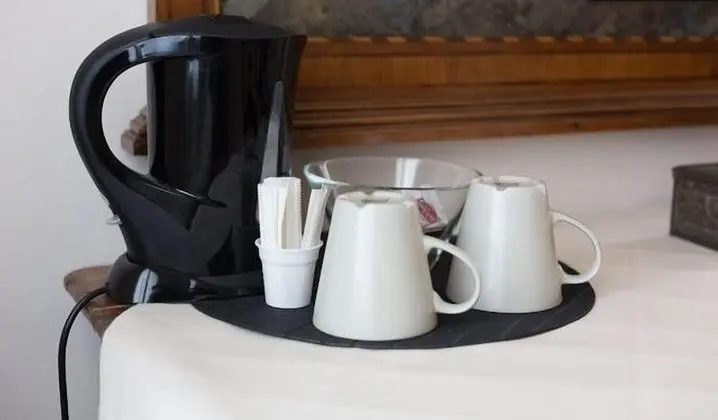 Superior Tek Büyük Yataklı Oda