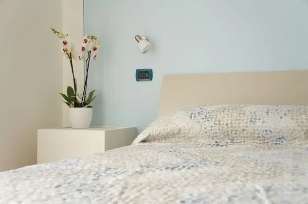 Deluxe Tek Büyük veya İki Ayrı Yataklı Oda, 1 Büyük (Queen) Boy Yatak, Sigara İçilmez