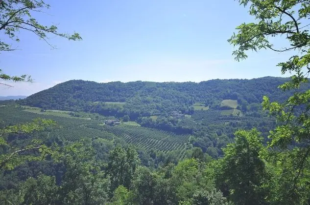 Tek Büyük Yataklı Oda, Tepe Manzaralı (Nebbiolo)