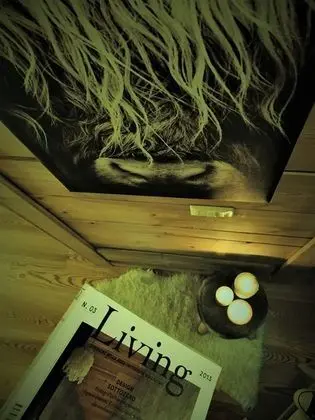 Superior Tek Büyük veya İki Ayrı Yataklı Oda