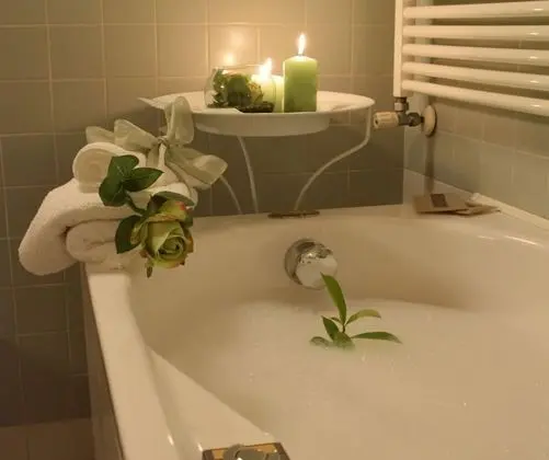 Deluxe Tek Büyük Yataklı Oda (Rosa Verde)