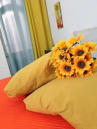 Comfort Oda
