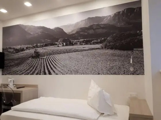 Comfort Tek Kişilik Oda, 1 Yatak Odası, Özel Banyo, Bahçe Manzaralı