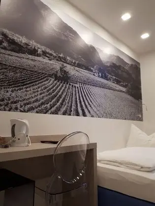 Comfort Tek Kişilik Oda, 1 Yatak Odası, Özel Banyo, Bahçe Manzaralı