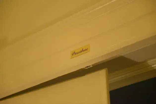 Tek Büyük veya İki Ayrı Yataklı Oda, Sigara İçilmez (Poseidone)