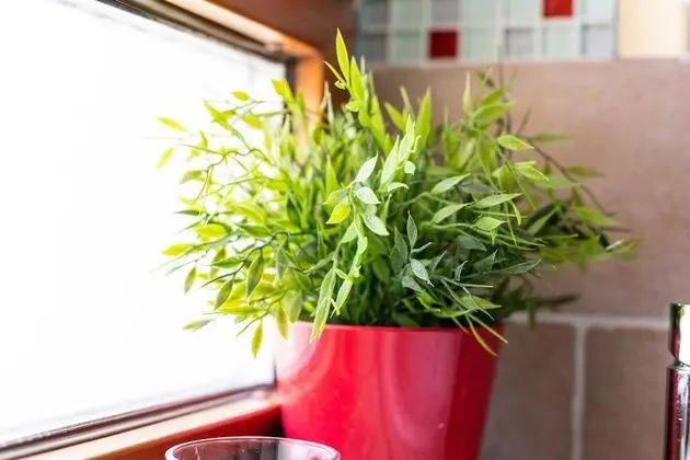 Classic Tek Büyük Yataklı Oda