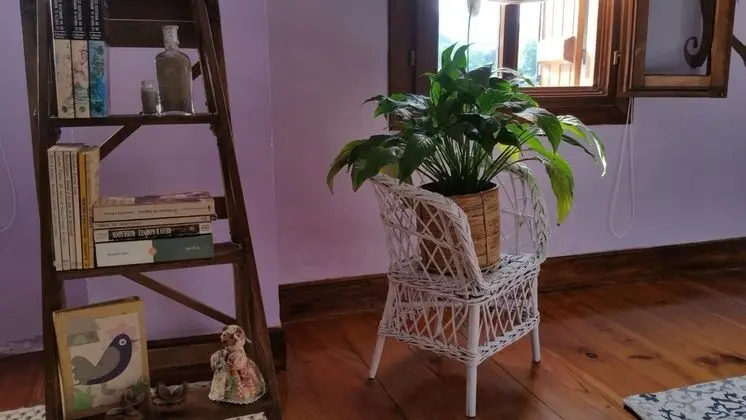 Tek Büyük Yataklı Oda, Dağ Manzaralı