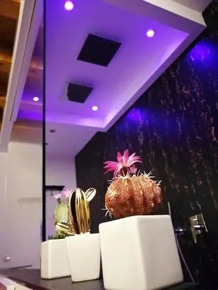 Luxury Süit
