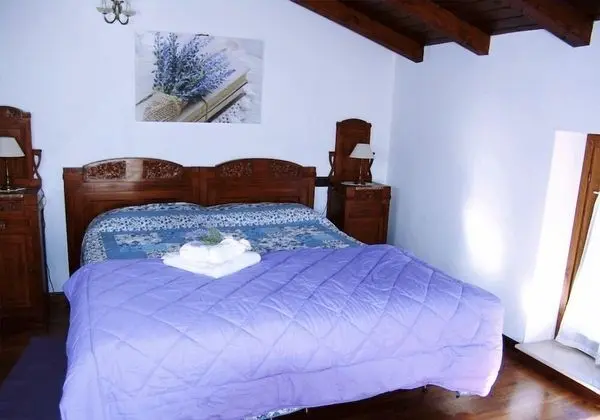 Tek Büyük Yataklı Oda, Özel Banyo (Lavanda)