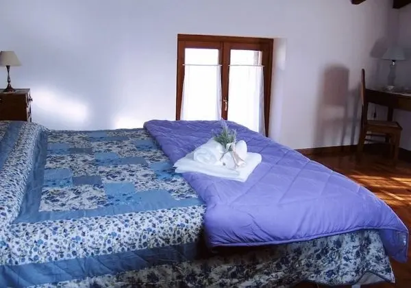 Tek Büyük Yataklı Oda, Özel Banyo (Lavanda)