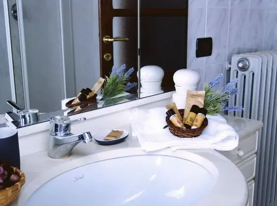 Tek Büyük Yataklı Oda, Özel Banyo (Lavanda)