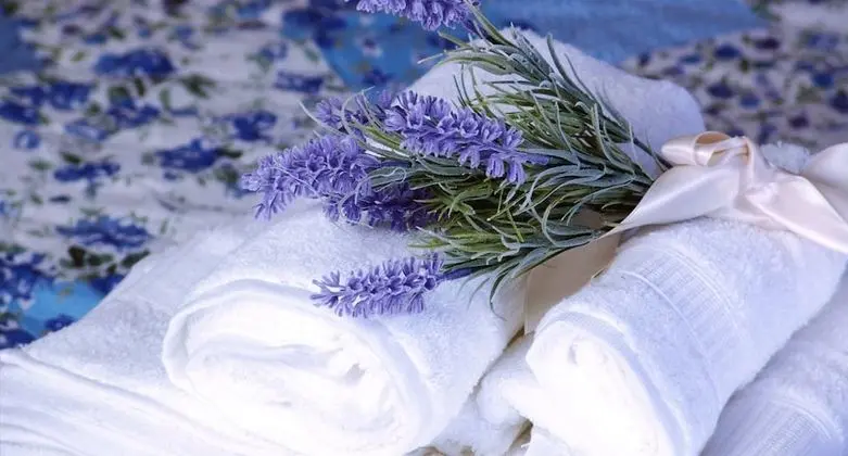 Tek Büyük Yataklı Oda, Özel Banyo (Lavanda)