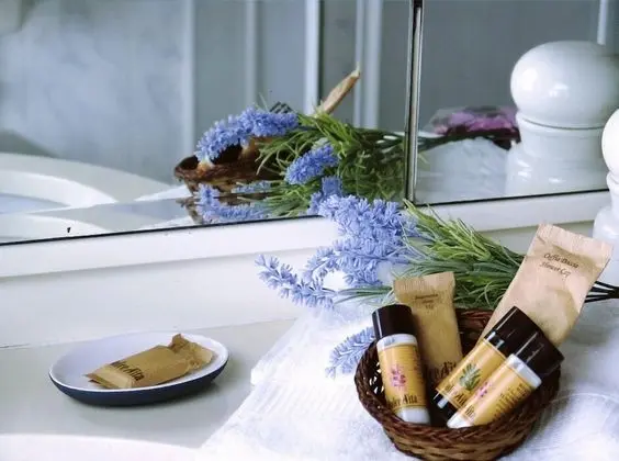 Tek Büyük Yataklı Oda, Özel Banyo (Lavanda)