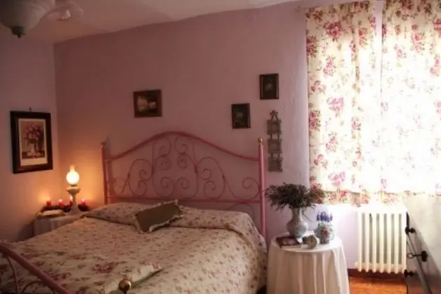 Traditional Tek Büyük Yataklı Oda, 1 Yatak Odası, Ortak Banyo (Rosa)