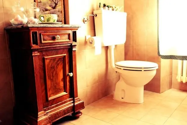 Traditional Tek Büyük Yataklı Oda, 1 Yatak Odası, Ortak Banyo (Rosa)