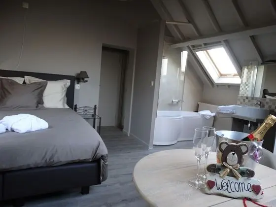 Superior Tek Büyük Yataklı Oda (Malbec)