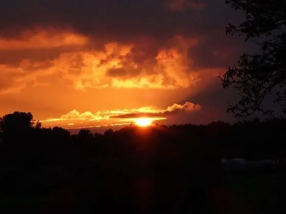 Superior Tek Büyük Yataklı Oda (Malbec)