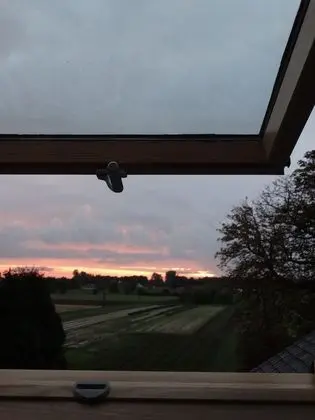 Superior Tek Büyük Yataklı Oda (Syrah)