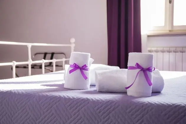 Comfort Tek Büyük Yataklı Oda, Banyolu/Duşlu, Şehir Manzaralı