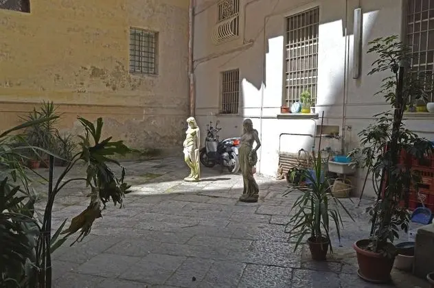 Basic Oda, 1 Büyük (Queen) Boy Yatak (1)