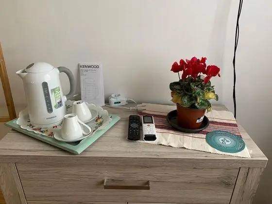 Superior Tek Büyük Yataklı Oda