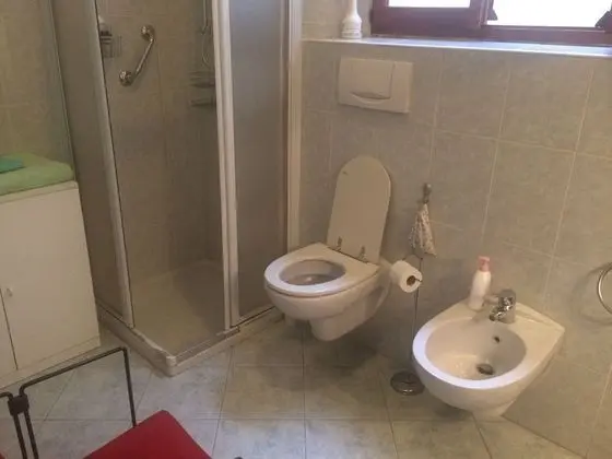 Deluxe Tek Büyük Yataklı Oda, Ortak Banyo (2 adults + 1 child)