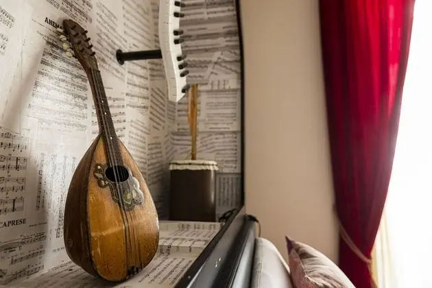 Superior Tek Büyük Yataklı Oda, Şehir Manzaralı