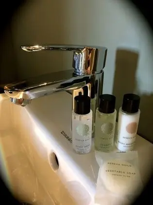 Superior Tek Büyük Yataklı Oda, Bahçe Manzaralı