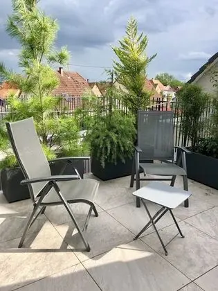 Family Süit (Coing)