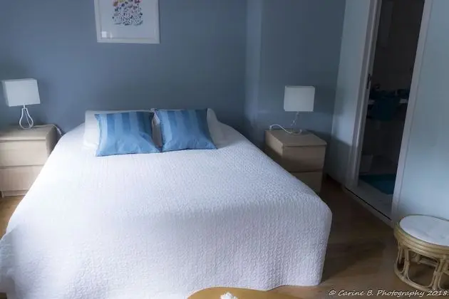 Tek Büyük Yataklı Oda (Au Lierre)