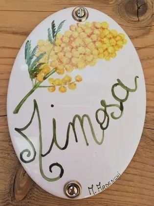 Superior Oda (Mimosa)
